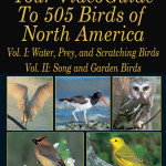 Poster-Bird VG 505